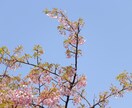 写真のレタッチいたします 依頼者様のお好きなテイストに編集いたします！ イメージ4