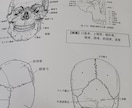 柔整鍼灸国家試験に対してのご相談を承ります 国家試験対策の講師として20年の経験があります イメージ1