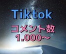 TikTokコメントを増やします きちんと丁寧に最後まで致します イメージ1
