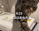 簡単なロングやショートの動画編集します カットだけ、字幕だけOKSEやBGM挿入もできます イメージ7