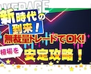 完全攻略FXサインツールのトレード方法教えます 専業を目標とした毎日継続・爆発的なトレード手法!! イメージ2