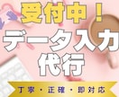 データ入力100件対応｜即日OK・丁寧に代行します 事務作業に手が回らない忙しい方をサポート致します イメージ1
