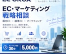 EC・マーケティングの課題を整理し戦略を提案します 国内・越境ECの実務経験をもとに成長戦略を提案します イメージ1