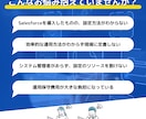 Salesforce運用保守対応させていただきます 些細な事でもご相談いただけると嬉しいです！ イメージ2