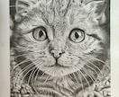 鉛筆画でペットのリアル似顔絵を手描きで作成致します 犬・猫を鉛筆で細部まで丁寧に描きます！ イメージ4