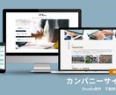Studioによるオリジナルページを作成します コピーからデザインまでワンストップで対応します！ イメージ3