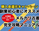 副業初心者OK◎メルカリ古着転売ノウハウを教えます 古着歴20年/取引実績1800件のプロが教える転売ノウハウ イメージ1