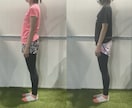 初心者向けに遠回りしない身体作りの本質を伝えます 全米認定資格保有のトレーナーが担当します イメージ2