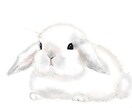 とりあえず話を聞いて欲しい方お待ちしております 精神疾患持ちが様々な面からサポートいたします イメージ1