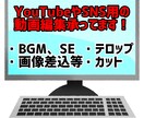 YouTubeやSNSの動画編集致します カット、テロップ、SE、BGM、画像差込、サムネイルなど イメージ2