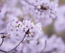 初回限定！天から与えられた使命をお伝えします あなたがより輝いて生きていけるためのメッセージです。 イメージ7