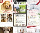 楽天+YAHOOショッピング 商品ページ作成します サムネイル+LP用画像＆商品画像 10枚 イメージ2