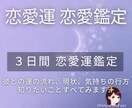 3日間 鑑定相談いたします 片思い、恋人未満、交際、復縁の恋愛運。質問は毎日お聴き鑑定✨ イメージ1