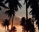 ハワイの画像、Web用モデル写真提供します フリーランスのモデル、撮影会の代表をしております。 イメージ5