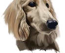 リアルなペットイラスト描きます 犬猫から爬虫類、猛禽類まで何でも! イメージ1