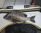 ふかせ釣り初めての方教えます ！何から準備したらいいか分からない、やるなら楽しみたい方向け イメージ8