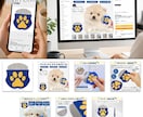 EC商品画像・Amazon・楽天・ヤフー他作ります ECへ新規参入の方や今のカタログ画像を改善したい皆様へ イメージ9