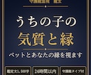 うちの子の気質とあなたとの縁を守護龍霊視で視ます 24時間以内｜ペットとの縁と接し方を1,500字で イメージ1