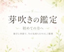 今の悩みを四季数秘で整理します ＊芽吹きの鑑定＊数字と季節でやさしく自分を整理 イメージ2