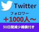 Twitterフォロワー＋1000人～増やします 複数アカウントへ振り分け可能・30日間保証付き イメージ1