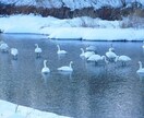 用途不問の背景画像提供します 背景に使えそうな写真を提供します イメージ2