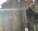 四柱推命から貴方の運気upの為にアドバイス致します お誕生日から読み解く運気！流れを知るだけでHappyに イメージ3