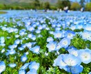 ヒーラー様限定ココナラをtwitterで宣伝します ヒーリング/気功/遠隔気功/スピリチュアル 等の宣伝にどうぞ イメージ2