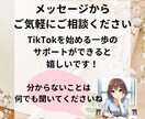 サイトの記事をTikTok動画にします 台本・声・編集・分析【20本・1分程】すべておまかせください イメージ7