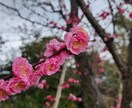 吉凶鑑定15回！お好きな時の吉凶鑑定します あなたの希望の時15回分の吉凶をプロが占います！ イメージ2