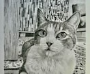 鉛筆画でペットのリアル似顔絵を手描きで作成致します 犬・猫を鉛筆で細部まで丁寧に描きます！ イメージ8
