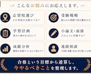 元准教授が受験戦略・志望校相談に乗ります 入試問題作成・採点経験から最適な受験戦略を提案します イメージ3