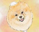 水彩風のやさしいタッチでペットの似顔絵を描きます ふんわり優しい線画で、大切な家族をイラストとして残します。 イメージ4