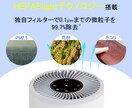 5名限定！モニター価格で画像を作成します とりあえずお試しで作ってみたい方、安く早く納品します！ イメージ8
