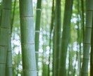 引越し、転居時期に関わるお悩みを霊視します 土地、建物、部屋のエネルギーを読み取ります。 イメージ1