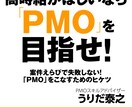 客先常駐(SES)のお悩み相談を承ります 20年超えの現役SESが、適切なアドバイスをいたします! イメージ2