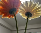 自己肯定感サポート！貴方の長所を10個伝えます あなたの魅力を10個お伝えします。おもろい回答もあり イメージ2