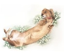 動物似顔絵・手描きの水彩で描きます 鮮やかなタッチの水彩画で、思い出をアートとして残しませんか? イメージ4
