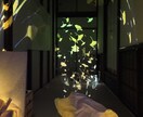 癒しと没入の光空間｜映像インスタレーション制作ます 空間に、季節が巡る。 光と映像で心を癒す5分間のループ作品。 イメージ4