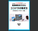 1ヶ月コンサル！稼ぐ動画編集者になる極意を教えます 月10万円稼いだプロ動画編集者が【ココナラノウハウ】を解説！ イメージ2