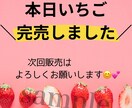 農家さん･個人販売店向け！チラシやPOPつくります 手に取ってもらえる、季節等にも合わせたチラシお作りします！ イメージ4