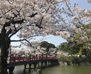 旅行会社現役社員が【日帰り旅行プラン】相談乗ります 首都圏から行けるリゾート編/箱根・熱海・伊豆・湘南・鎌倉など イメージ3