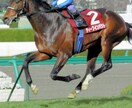 競馬予想、指定したレースの予想いたします 当たる予想、予算にあわせて買い目予想提供します。 イメージ1