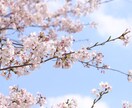 雑談、相談なんでもお受けします お話し相手が欲しい方、動物看護師がお話し相手になります♪ イメージ1