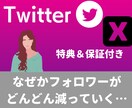 Twitter日本人フォロワー100人集客します ◎保証期間、オプション購入特典あります！ イメージ3