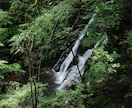 彼の今の気持ちをチャネリングでお調べします 彼の本当の気持ち、気になりませんか。 イメージ9