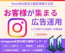 Instagram広告1か月間運用+初期設定します 相談無料_初期設定・レポーティング・運用までサポート イメージ1