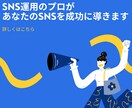 SNSのプロがあなたのSNSを成功に導きます 意外とめんどくさいSNSはプロにお任せ！ イメージ1