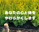 気分変調性障害当事者が丁寧に寄り添います 症状/うつ病との違い/双極性障害との違い/悩み/不安 イメージ3