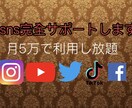 youtubeやsnsの全てサポートします sns完全サポート月5万円で(RIPITOSA) イメージ1