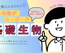 高校生必見！管理栄養士になりたいあなたへ教えます 化学と生物が苦手！でも、どうしても管理栄養士を目指したい！ イメージ4